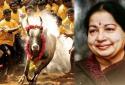 Jayalalithaa's reputation would be until jallikattu - O Panneerselvam Tribute